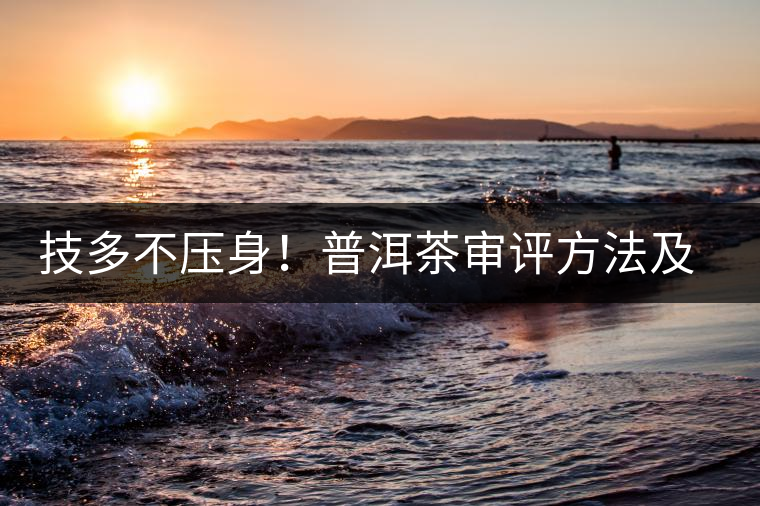 技多不壓身！普洱茶審評方法及專業(yè)術(shù)語大全（下）