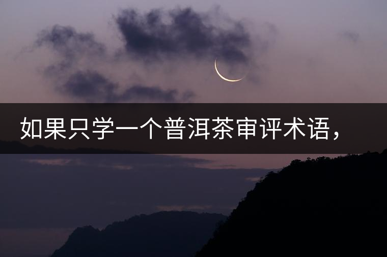 如果只學(xué)一個(gè)普洱茶審評(píng)術(shù)語(yǔ)，那應(yīng)該是什么？