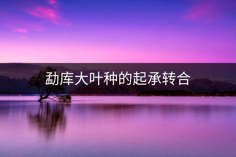 勐庫大葉種的起承轉(zhuǎn)合