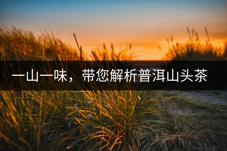 一山一味，帶您解析普洱山頭茶的密碼究竟是什么？
