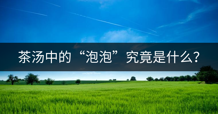 茶湯中的“泡泡”究竟是什么？