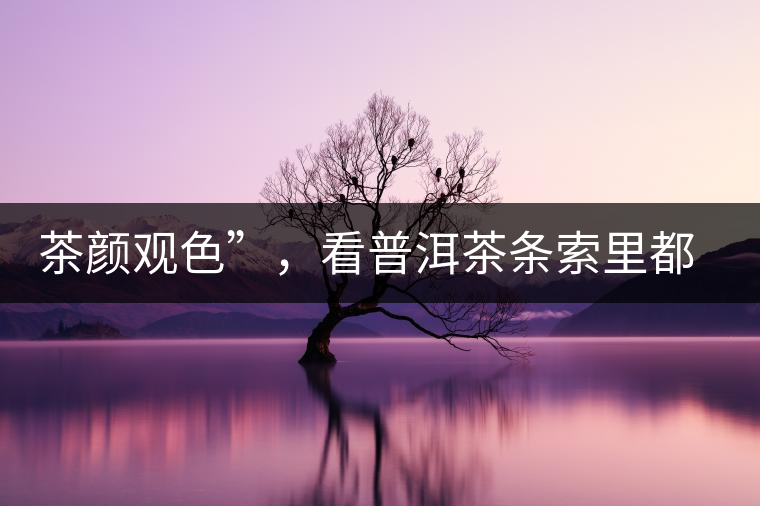 茶顏觀色”，看普洱茶條索里都蘊(yùn)含著怎樣的“密碼”？