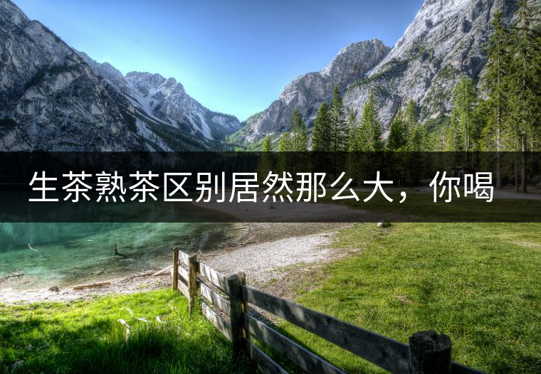 生茶熟茶區(qū)別居然那么大，你喝對了嗎