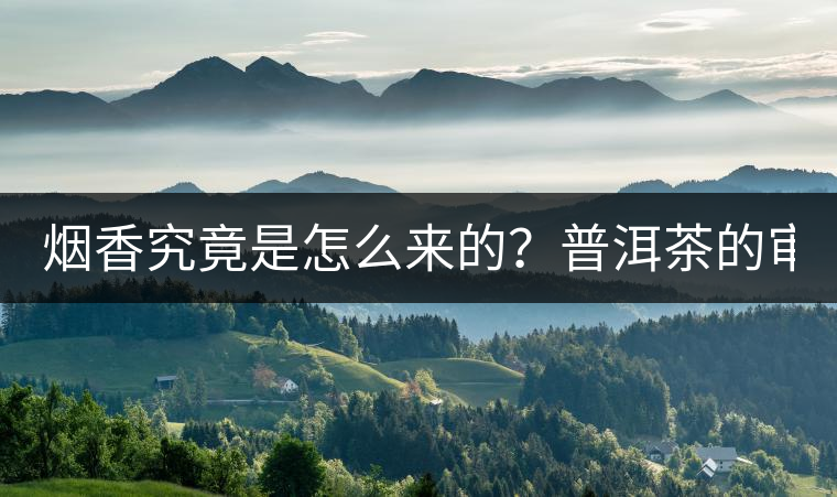 煙香究竟是怎么來(lái)的？普洱茶的審美困局。