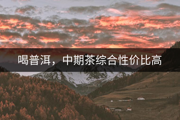 喝普洱，中期茶綜合性?xún)r(jià)比高