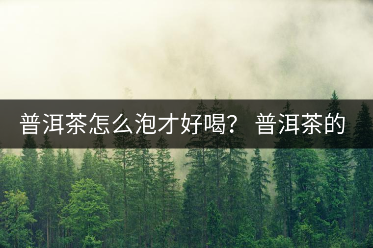 普洱茶怎么泡才好喝？ 普洱茶的沖泡技巧！