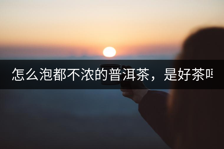 怎么泡都不濃的普洱茶，是好茶嗎？