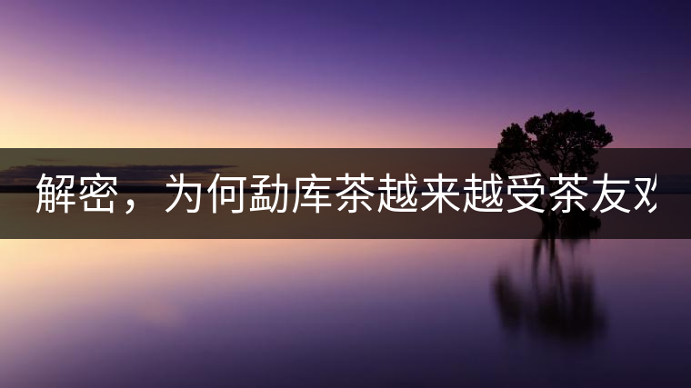 解密，為何勐庫茶越來越受茶友歡迎！