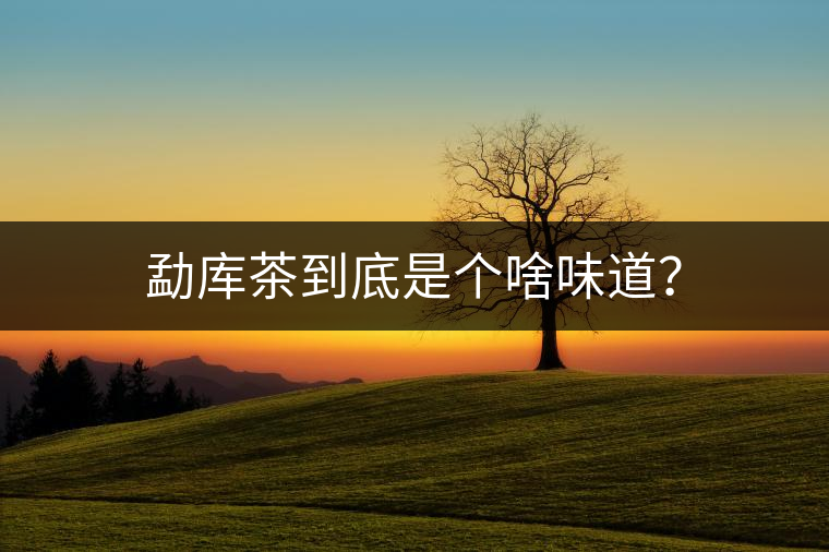 勐庫茶到底是個(gè)啥味道？