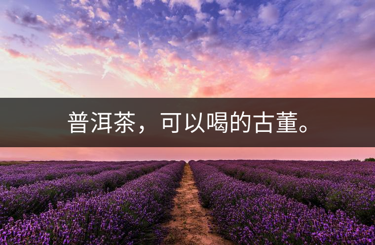普洱茶，可以喝的古董。