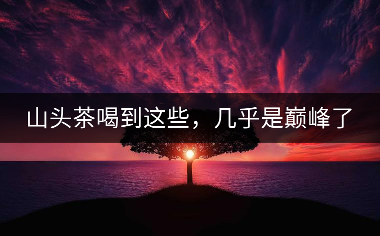 山頭茶喝到這些，幾乎是巔峰了