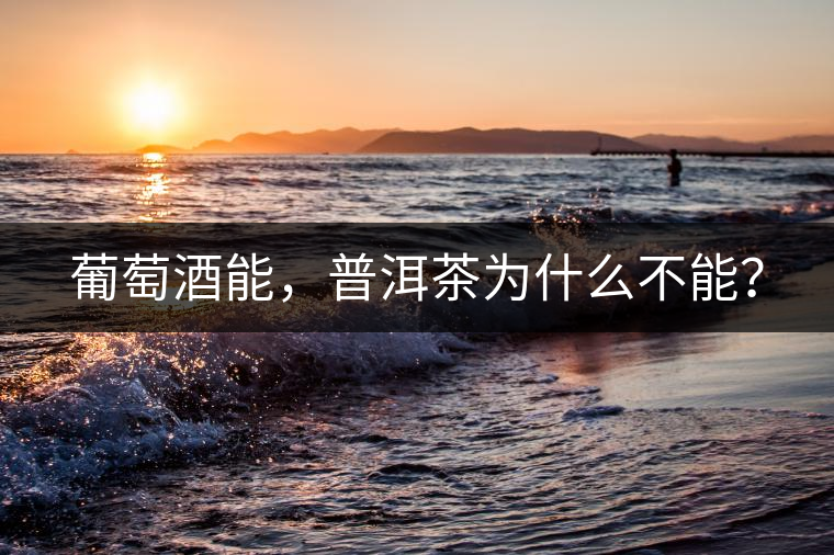 葡萄酒能，普洱茶為什么不能？