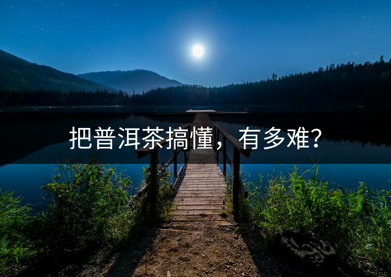 把普洱茶搞懂，有多難？