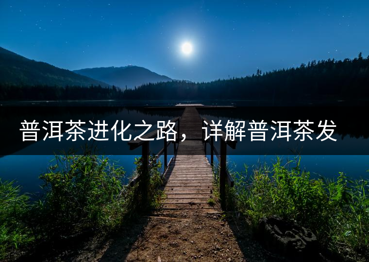 普洱茶進(jìn)化之路，詳解普洱茶發(fā)展的三大重要階段