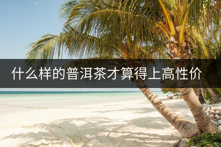 什么樣的普洱茶才算得上高性價比