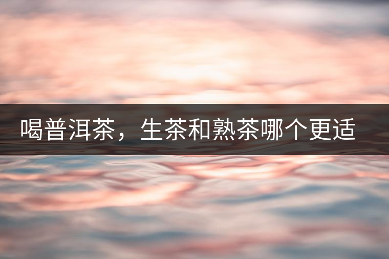 喝普洱茶，生茶和熟茶哪個更適合你？
