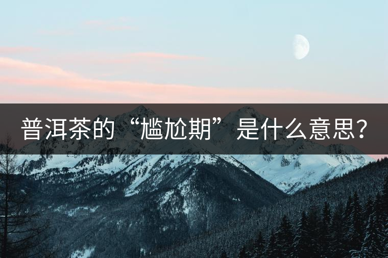 普洱茶的“尷尬期”是什么意思？