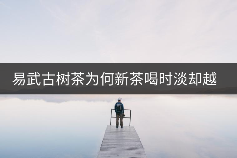 易武古樹茶為何新茶喝時(shí)淡卻越放越濃？易武古樹茶有什么投資價(jià)值?