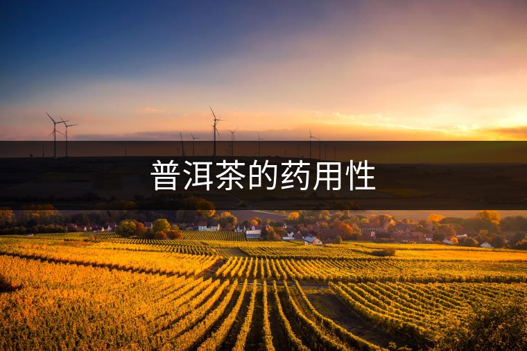普洱茶的藥用性