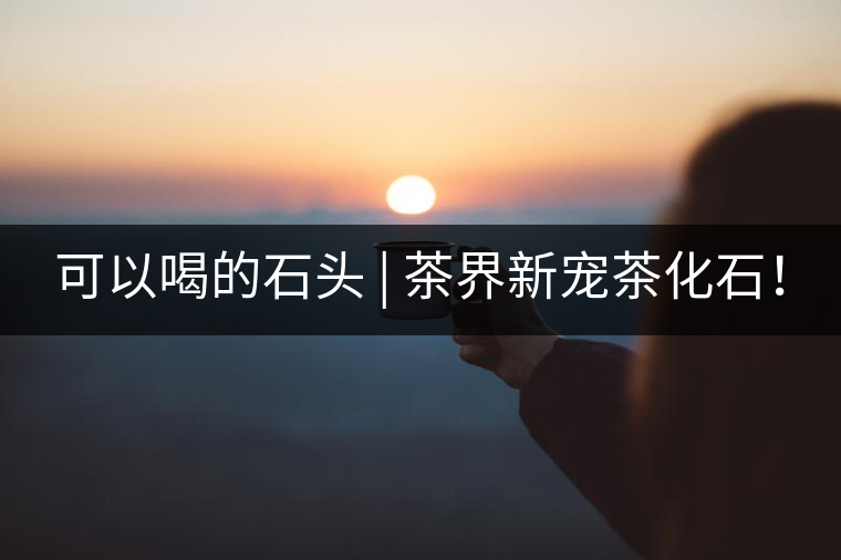 可以喝的石頭 | 茶界新寵茶化石！