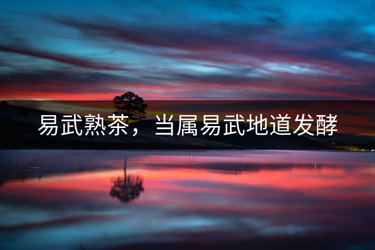 易武熟茶，當(dāng)屬易武地道發(fā)酵
