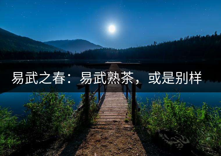 易武之春：易武熟茶，或是別樣風(fēng)采丨賞鑒