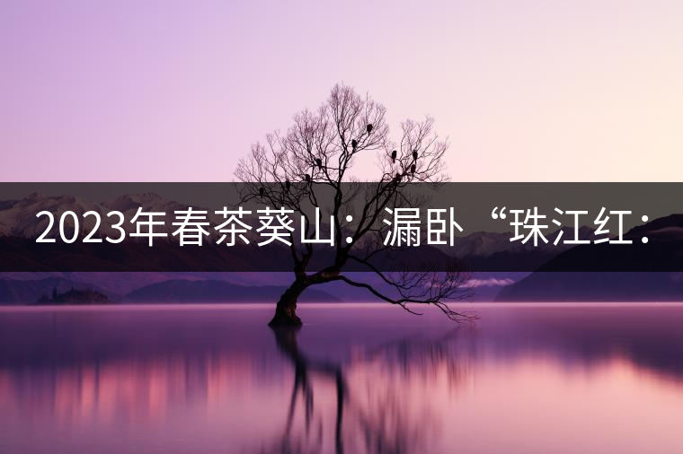 2023年春茶葵山：漏臥“珠江紅：1200元-3200元（有3個檔次）漏臥“大廠茶”：古樹單株8600-9000元／公斤，中樹4800-5200元／公斤，小樹混采2600-2800元／公斤。