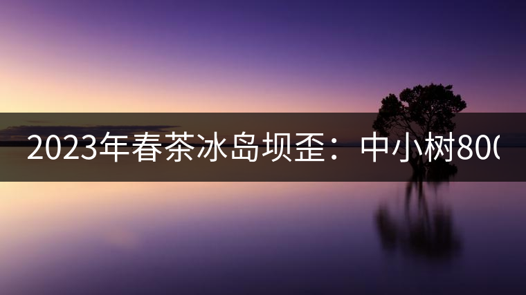 2023年春茶冰島壩歪：中小樹800元／公斤，古樹1400-1600元／公斤