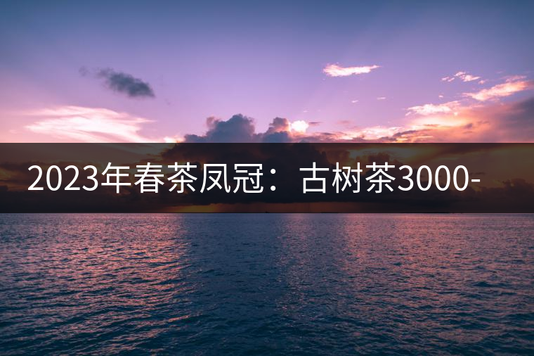 2023年春茶鳳冠：古樹茶3000-5000元／公斤
