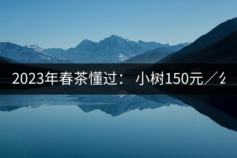 2023年春茶懂過： 小樹150元／公斤, 古樹400-600元／公斤
