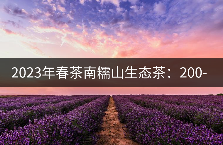 2023年春茶南糯山生態(tài)茶：200-300元／公斤，古樹(shù)：900-1500元／公斤