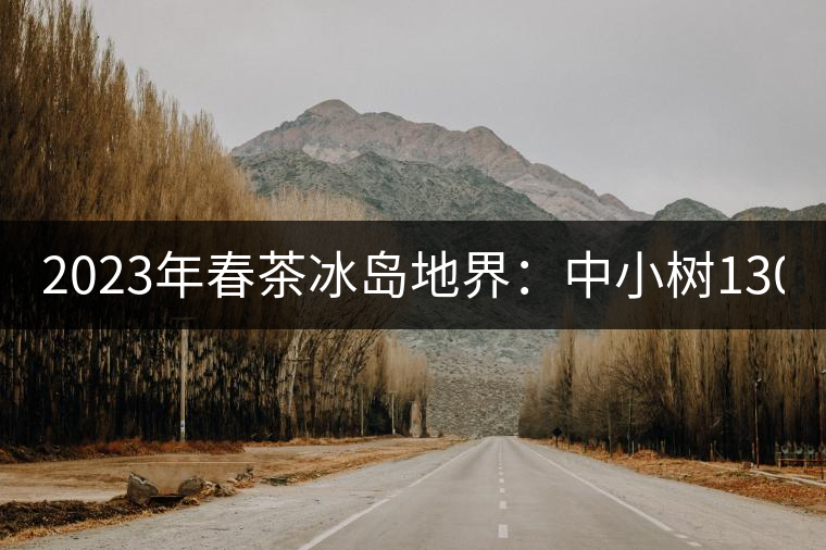 2023年春茶冰島地界：中小樹1300-1500元／公斤，古樹2200~2500元／公斤