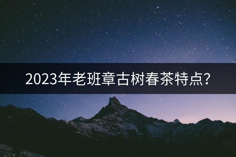 2023年老班章古樹春茶特點？