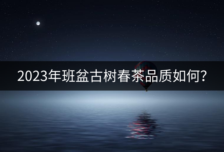 2023年班盆古樹春茶品質如何？