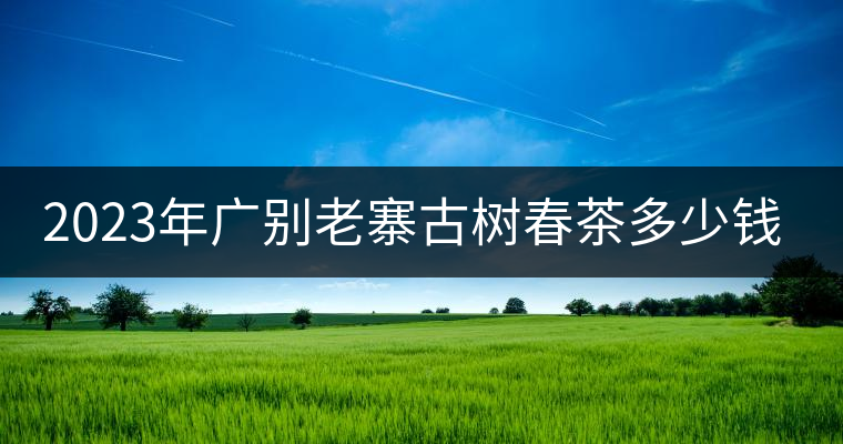 2023年廣別老寨古樹(shù)春茶多少錢(qián)一公斤？