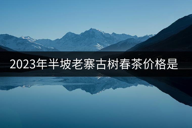 2023年半坡老寨古樹(shù)春茶價(jià)格是多少？