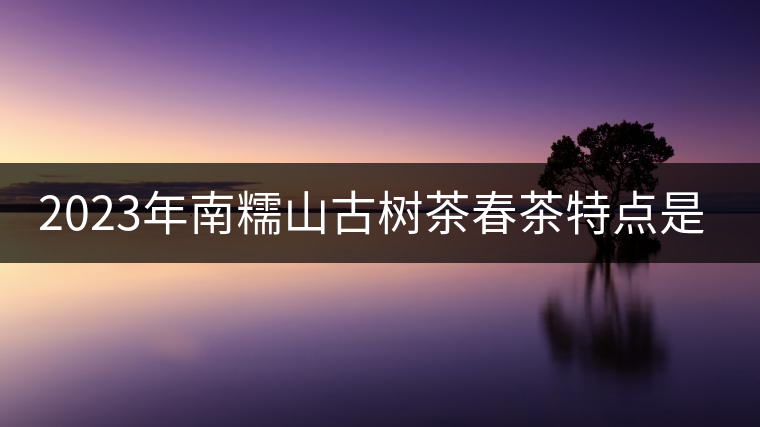 2023年南糯山古樹茶春茶特點(diǎn)是什么？