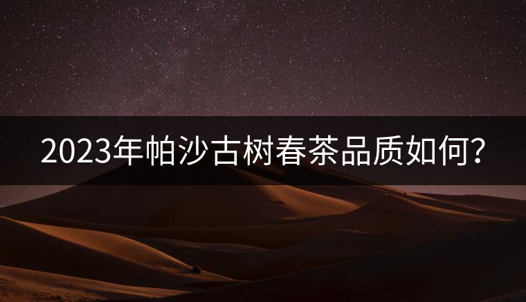 2023年帕沙古樹(shù)春茶品質(zhì)如何？