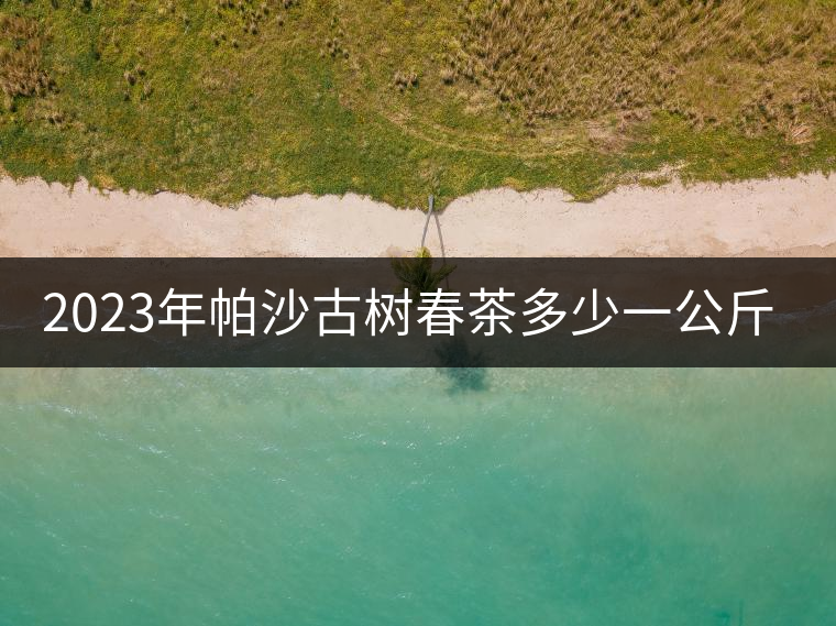 2023年帕沙古樹春茶多少一公斤？