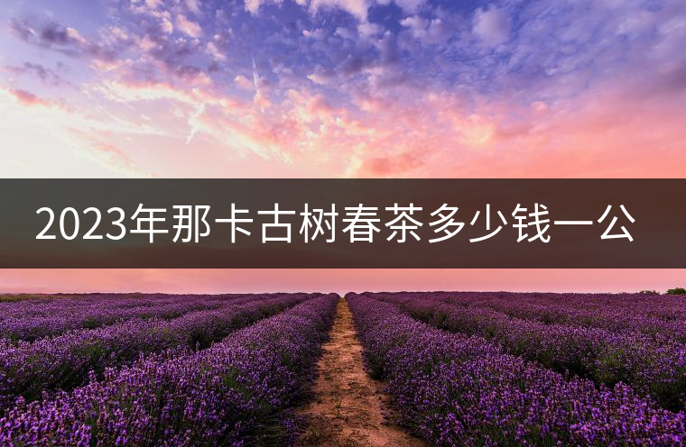 2023年那卡古樹(shù)春茶多少錢(qián)一公斤？