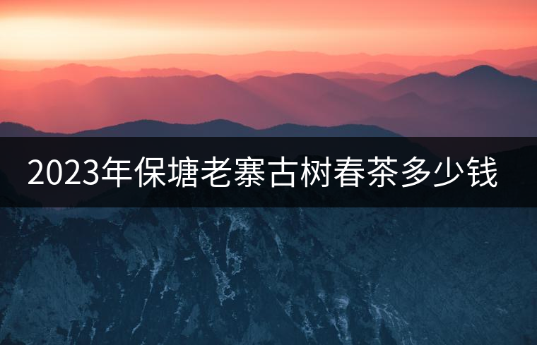 2023年保塘老寨古樹春茶多少錢一公斤？