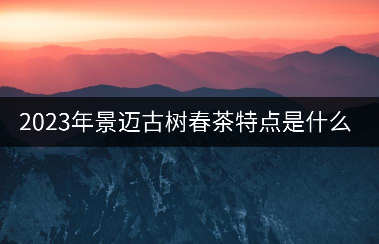 2023年景邁古樹春茶特點是什么？