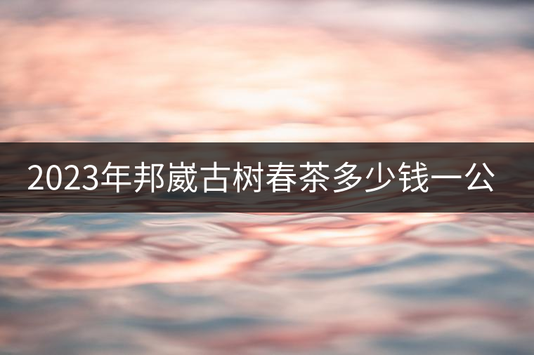 2023年邦崴古樹春茶多少錢一公斤？