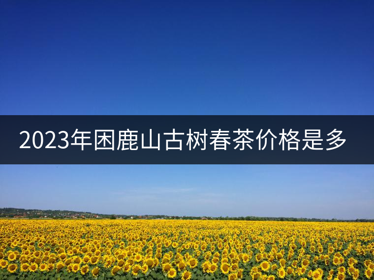 2023年困鹿山古樹春茶價格是多少？