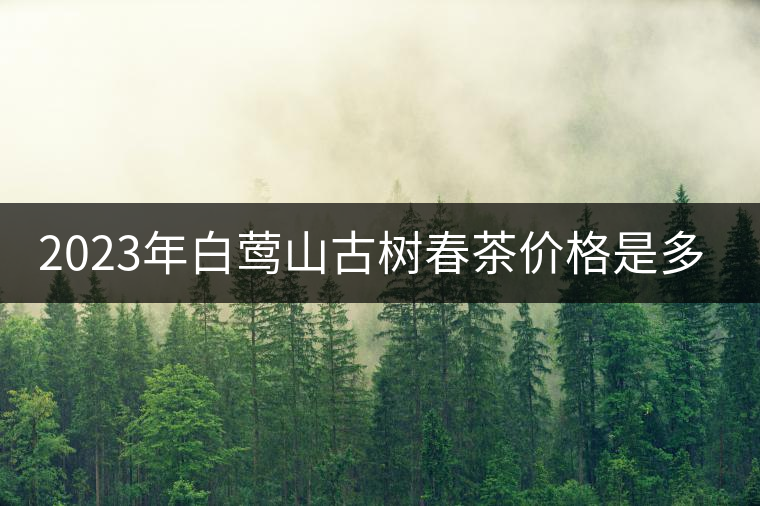 2023年白鶯山古樹(shù)春茶價(jià)格是多少？