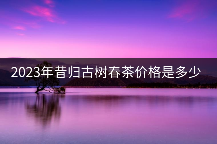 2023年昔歸古樹春茶價格是多少？
