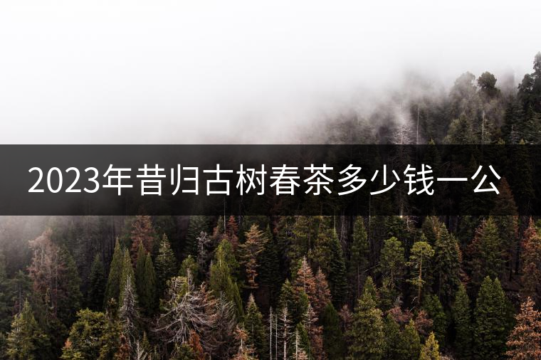2023年昔歸古樹春茶多少錢一公斤？