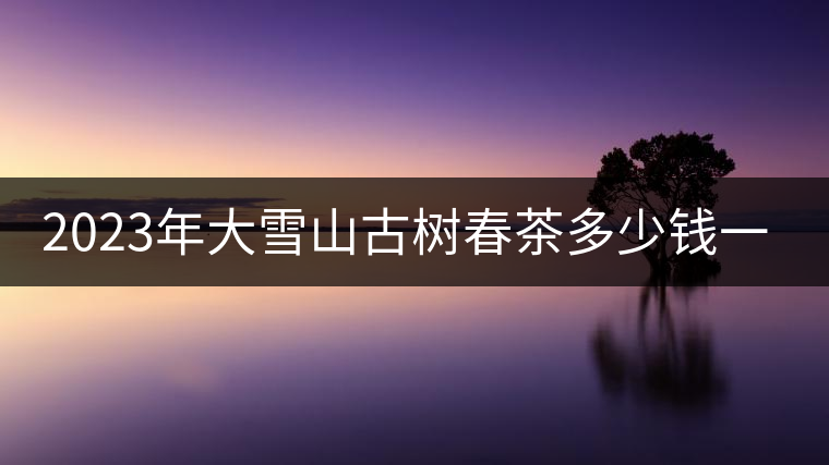 2023年大雪山古樹(shù)春茶多少錢一公斤？