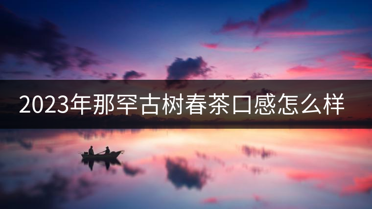 2023年那罕古樹春茶口感怎么樣？