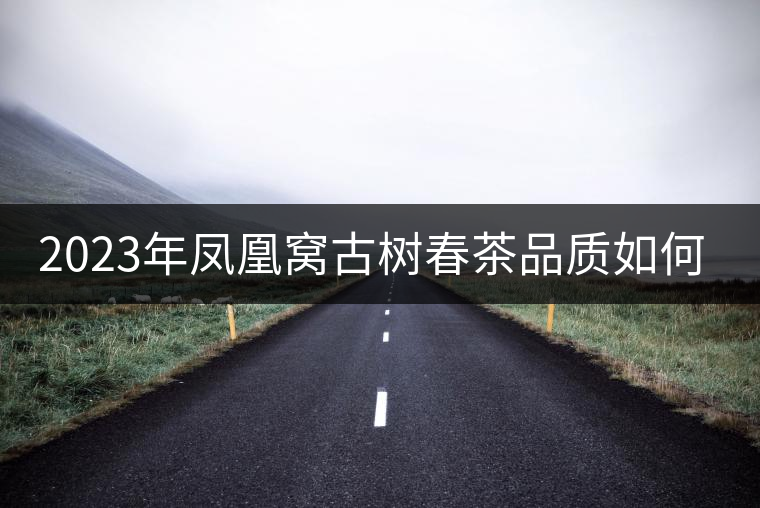 2023年鳳凰窩古樹春茶品質(zhì)如何？